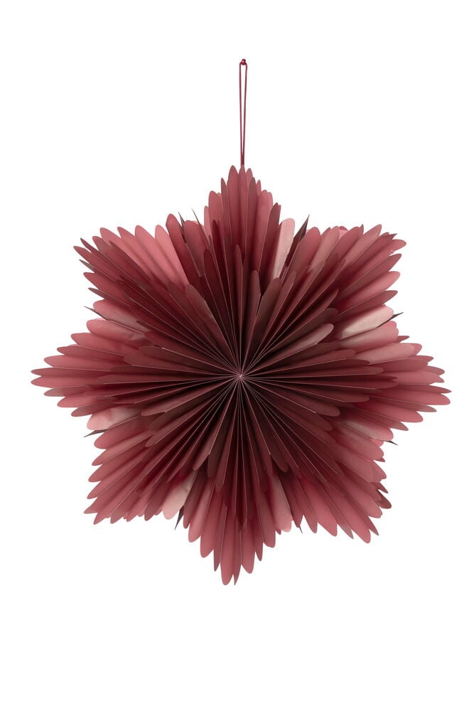 Adventsstjärna Venus