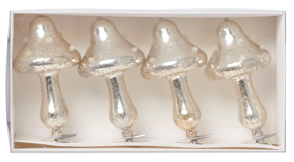 Julgranspynt Mushrooms - 2