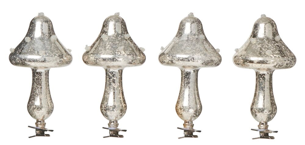 Julgranspynt Mushrooms