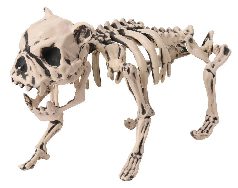 Deko Halloween Hundeskelett