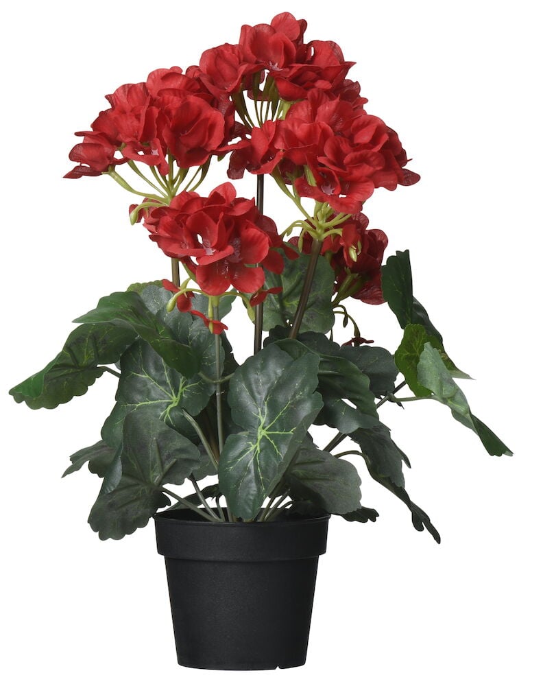 Punainen tekopelargoni mustassa ruukussa.