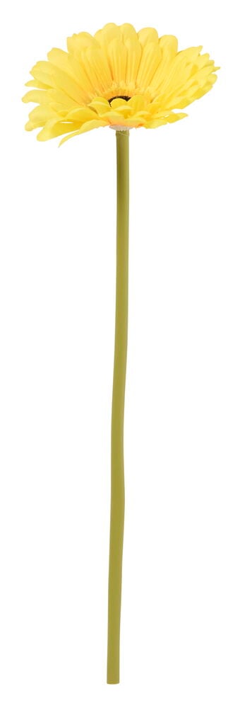Keltainen Gerbera 34 cm kukka pitkällä vihreällä varrella ja tummalla keskellä.