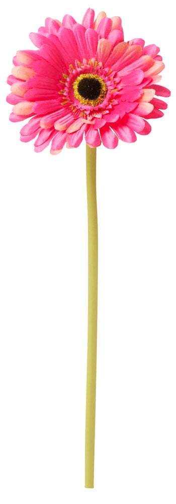 Vaaleanpunainen tekogerbera pitkällä vihreällä varrella.