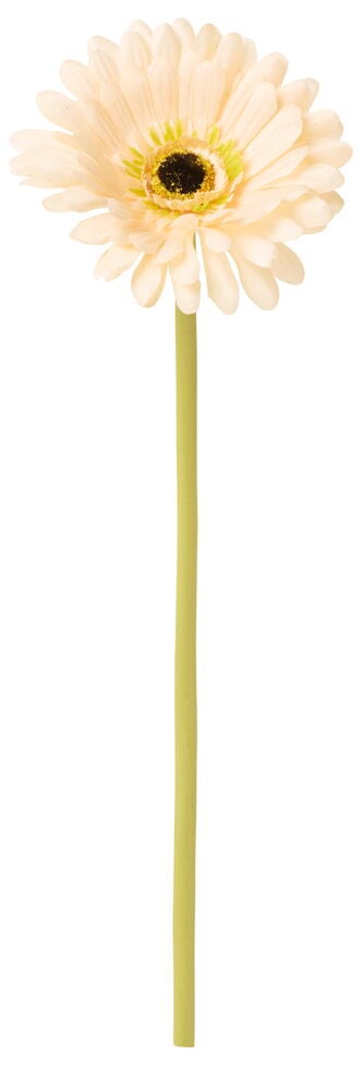 Keinotekoinen gerbera, jossa on pitkä vihreä varsi.