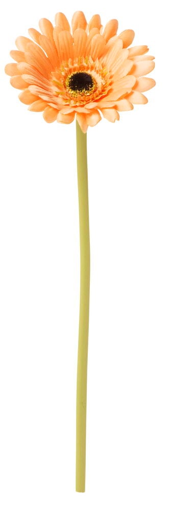Oranssi tekokukka gerbera pitkällä varrella.
