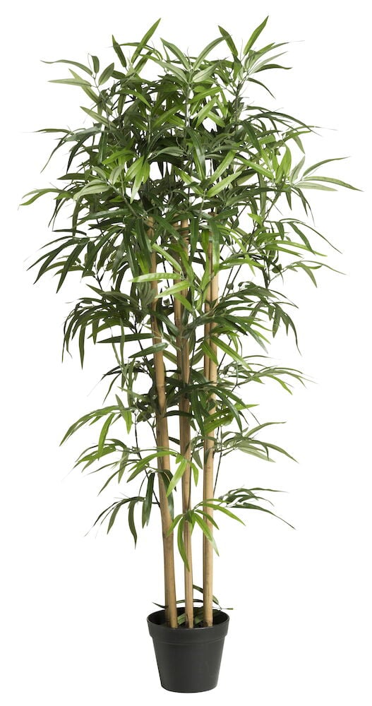 Grüne künstliche Bambuspflanze in schwarzem Topf.