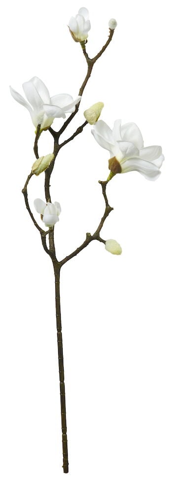Oksa Magnolia - 3