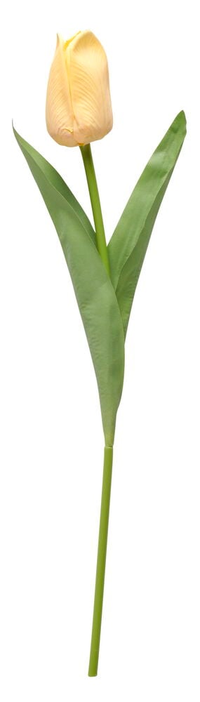 Keinotekoinen keltainen tulppaani vihreällä varrella.