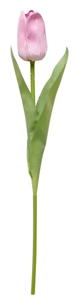 Vaaleanpunainen tekokukka tulppaani vihreillä lehdillä.