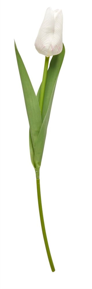 Valkoinen keinotekoinen tulppaani, jossa on vihreät lehdet ja varsi.