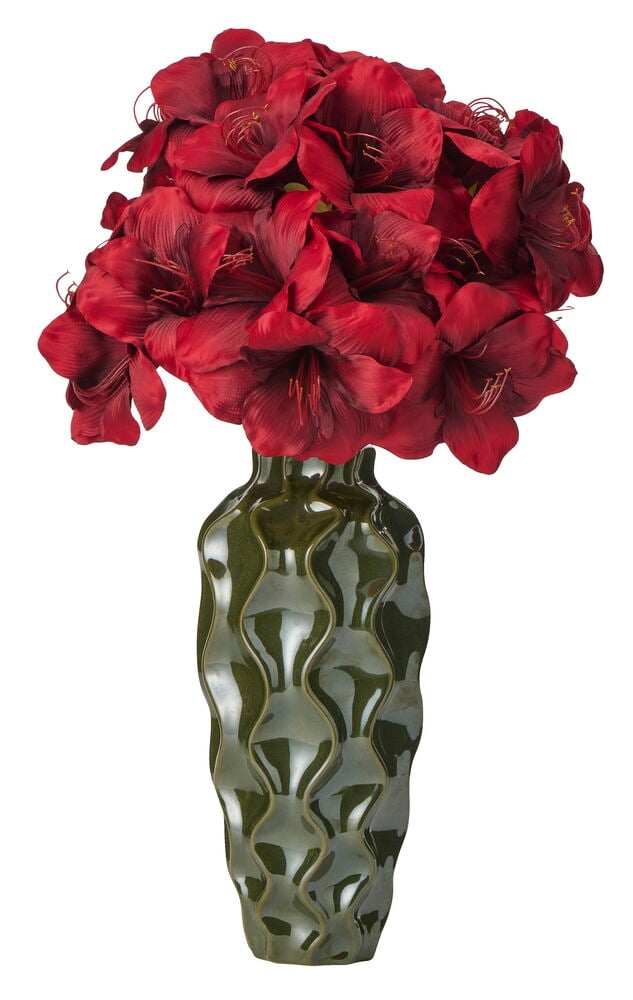 Amaryllis 65 cm Rød blomster i en mørkegrønn bølgete vase, forfra.
