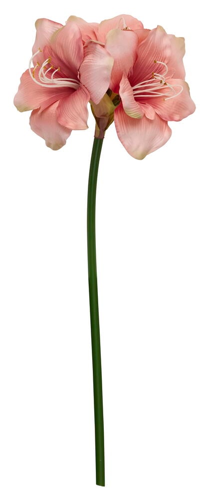 Rosa Amaryllis 65 cm kunstig blomst med flere kronblader og hvite støvbærere på en lang grønn stilk.