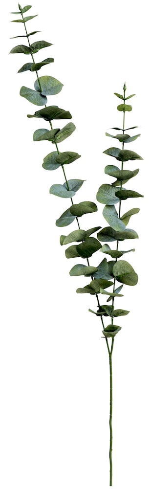 Grüner künstlicher Eukalyptuszweig mit runden Blättern.