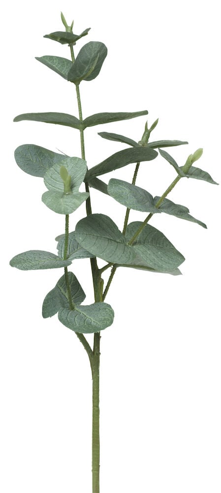 Grön konstgjord eukalyptus kvist med flera blad.