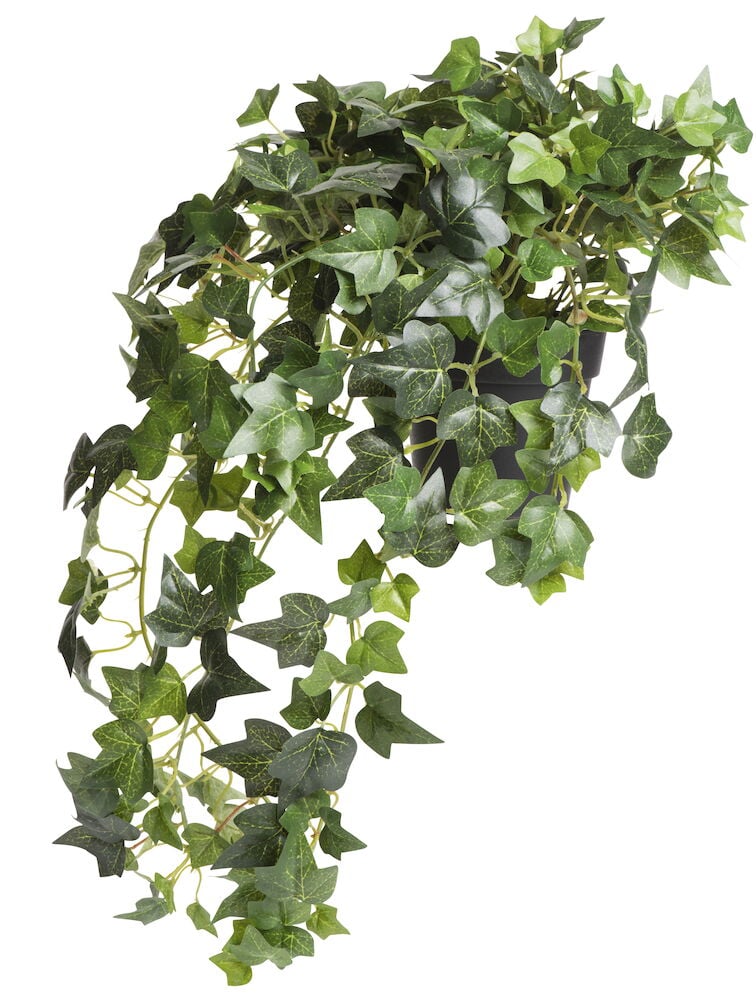 Grön konstgjord murgröna i svart kruka.