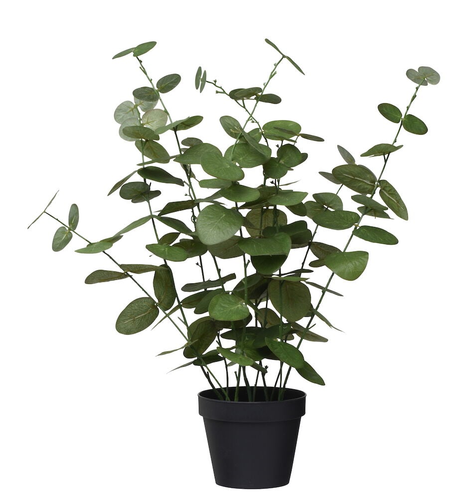 Grön konstgjord eukalyptusväxt i svart kruka.