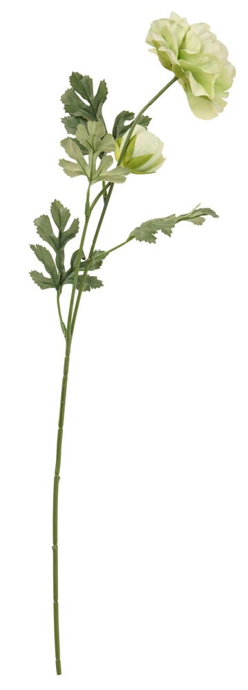 Keinotekoinen Leinikki 60 cm Eri värejä varsi vaaleanvihreällä kukalla, nupulla ja vihreillä lehdillä.