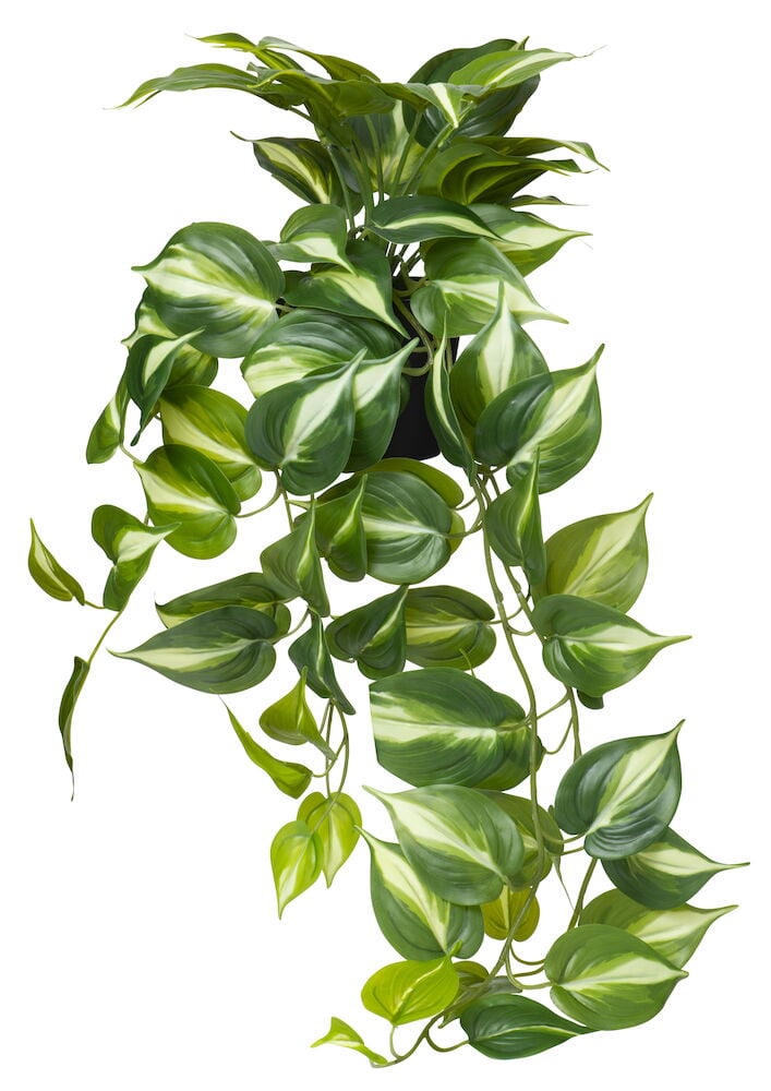 Grön konstgjord hängande krukväxt med stora blad.