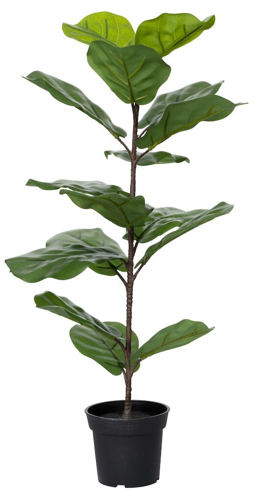 Grüner künstlicher Geigenfeigenbaum in einem schwarzen Plastiktopf.