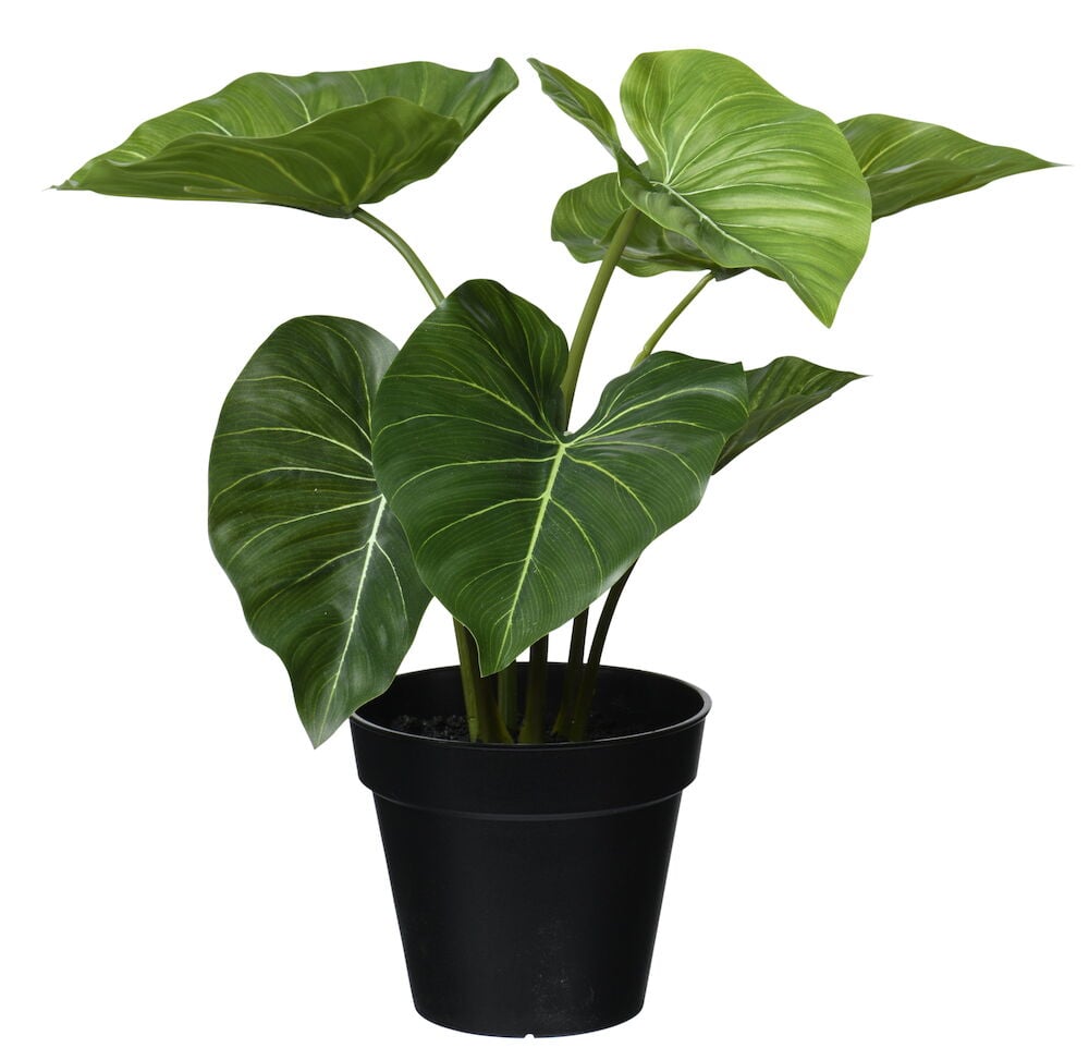 Grön konstgjord philodendronväxt i svart kruka.