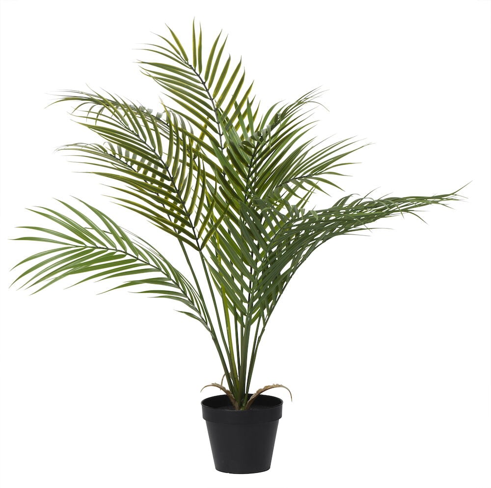Grön konstgjord palm i svart kruka.