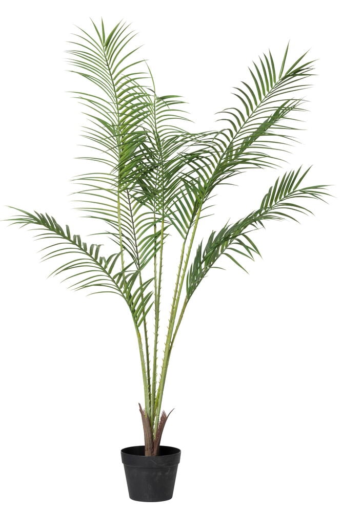 Grüne künstliche Palmenpflanze in schwarzem Topf.