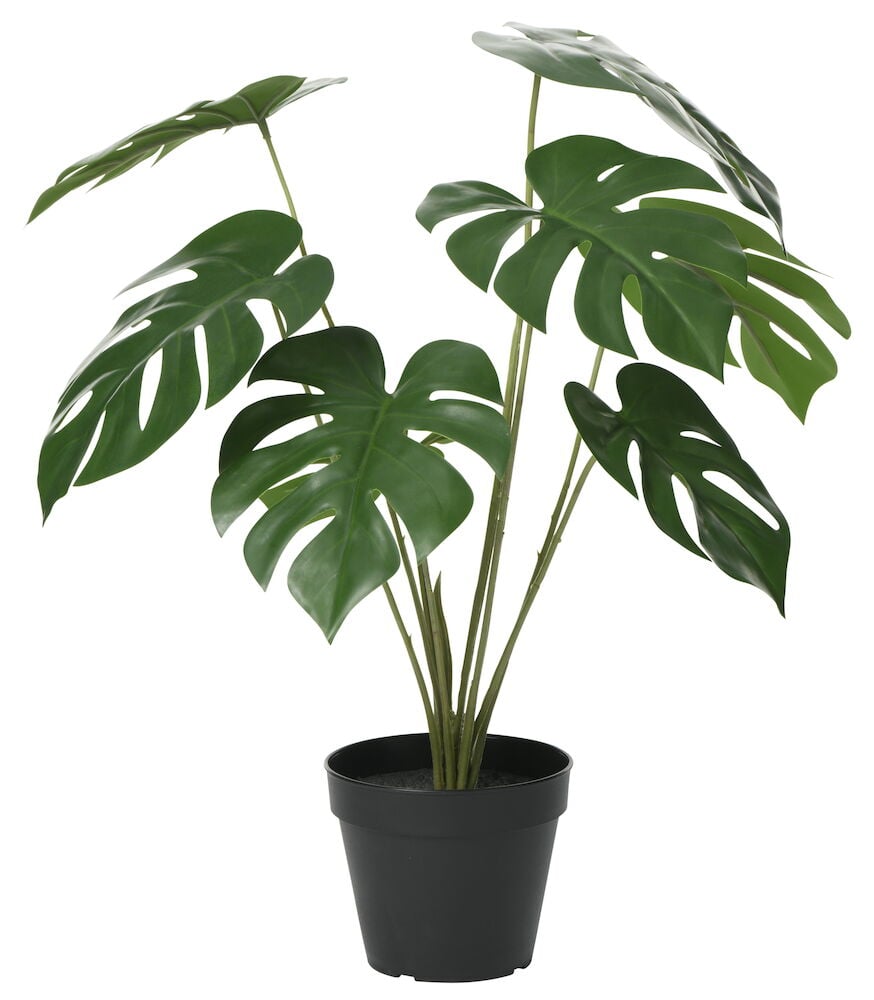 Grön konstgjord monstera i svart kruka.