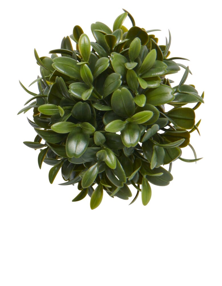 Mini buxbombollar - 2