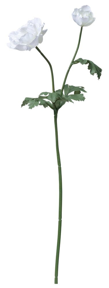 Valkoinen tekokukka-anemoni, jossa on kaksi kukkaa.