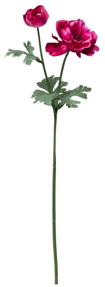 Keinotekoinen anemoni, jossa on vaaleanpunaisia kukkia ja vihreitä lehtiä.