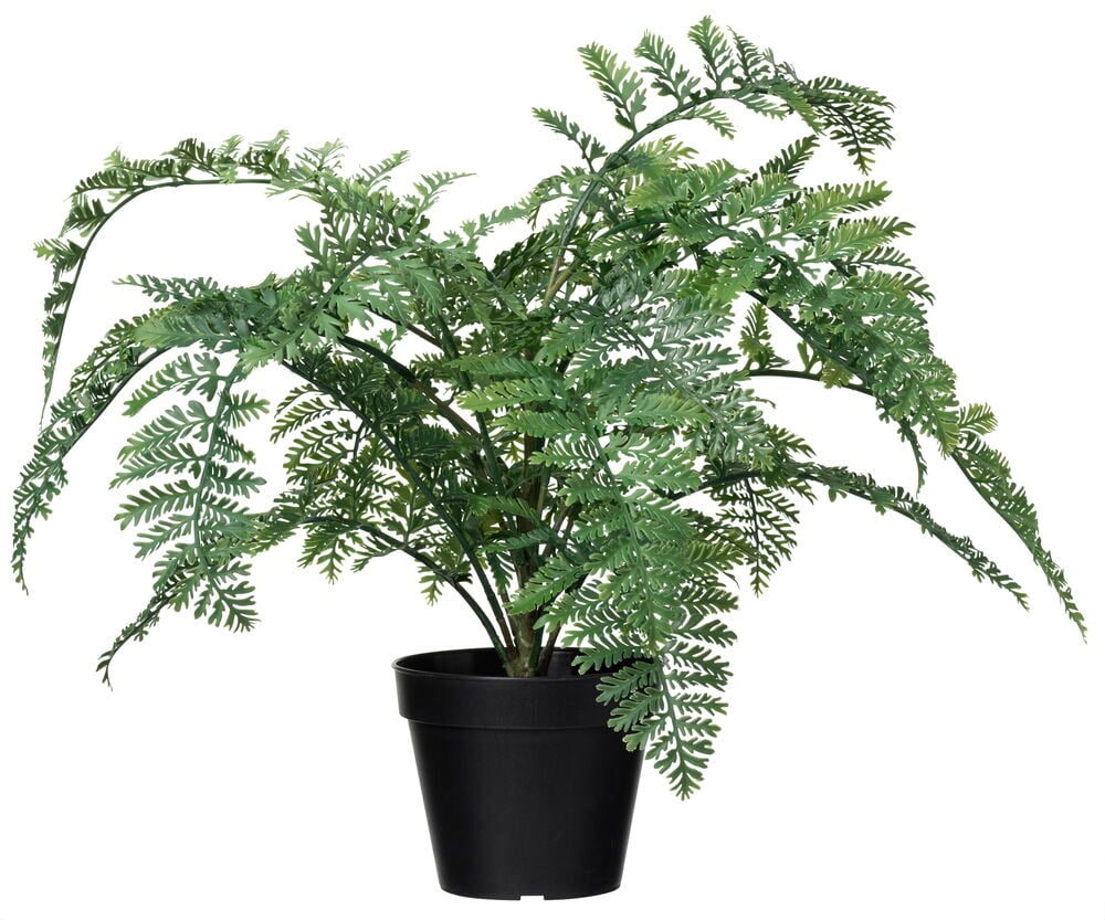 Konstgjord grön ormbunke i svart plastkruka.