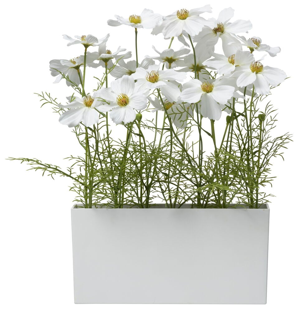 Valkoinen keinotekoinen kosmoskukka pitkänomaisessa valkoisessa ruukussa.