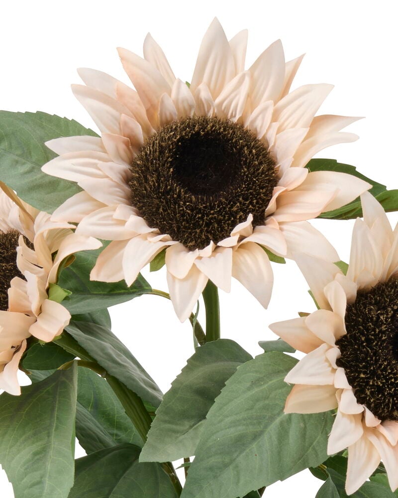 Solros 60 cm Off-white, en framträdande konstgjord blomma med mörkbrun mitt bland andra off-white solrosor.