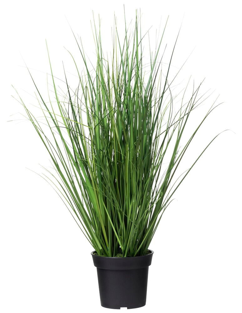 Grön konstgjord gräsväxt i svart kruka.