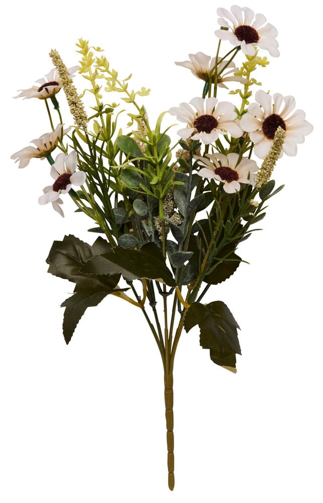 Kleiner Strauß weißer Gänseblümchen mit dunklen Zentren, gemischt mit grünem Laub und beigen Ährenblüten.