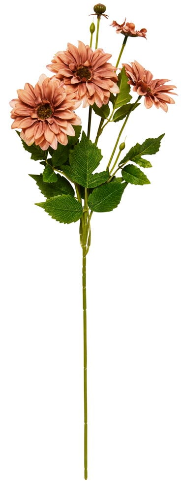 Kvist Chrysanthemum - 2