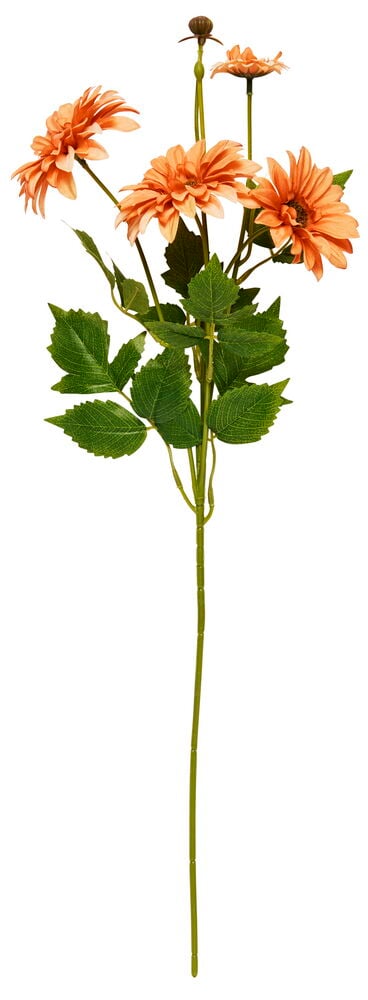 Kvist Chrysanthemum - 3