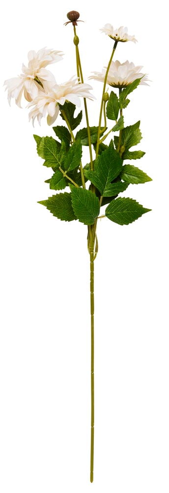 Kvist Chrysanthemum - 4