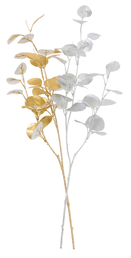 Kvist Eukalyptus - 2