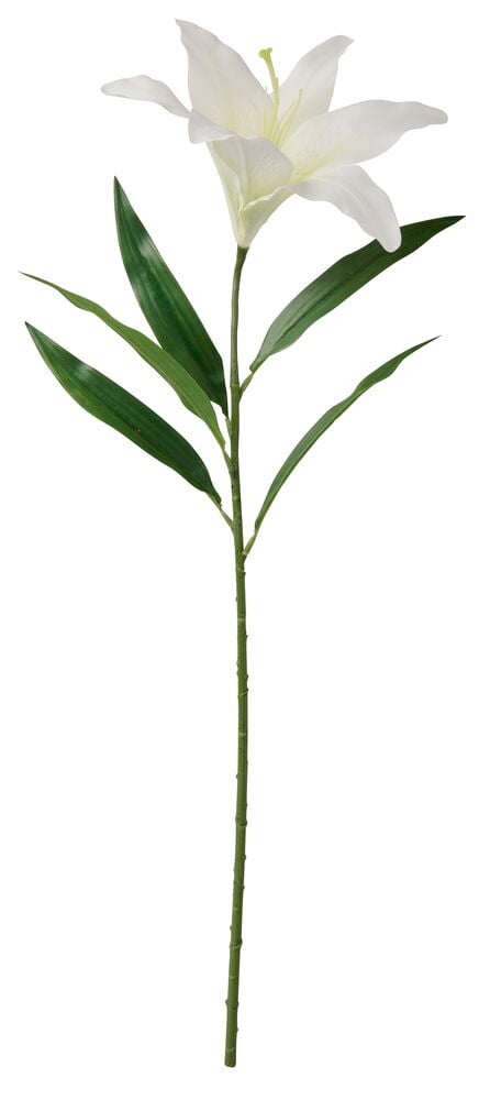 En vit Lilja 76 cm med grön stjälk och blad, visad i en helkroppsbild i studio.