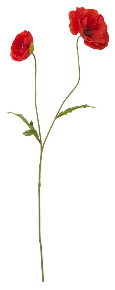 En röd 66 cm konstgjord vallmo med två röda blommor, en grön stjälk och gröna blad.