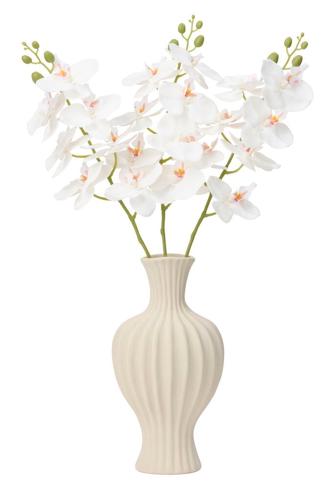 Orkidé 80 cm Vit i en ljusbeige räfflad vas med flera vita blommor och gröna knoppar.