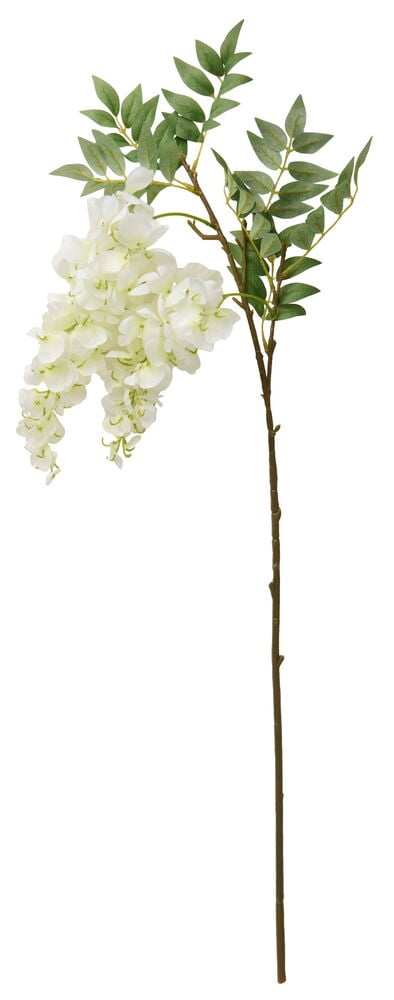 Blåregn 75 cm Vit: En lång konstgjord blåregnsstjälk med kaskadformade vita blommor och gröna blad.