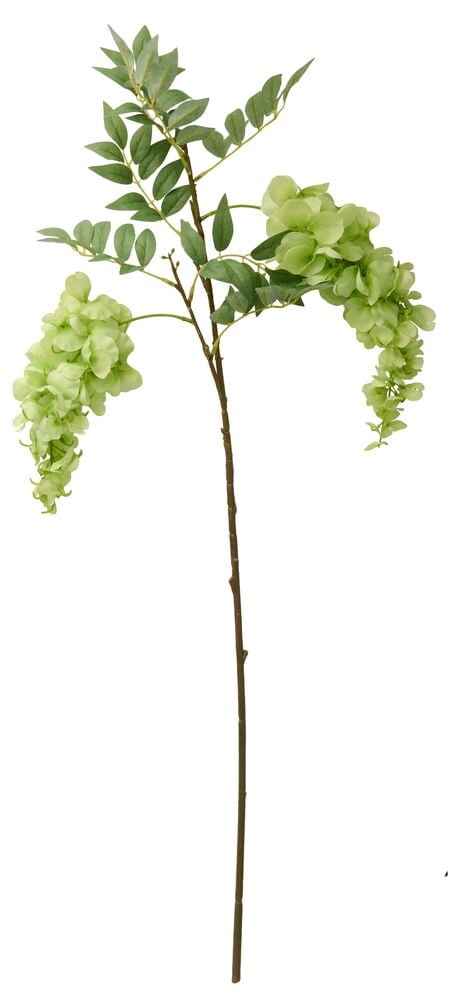 Blåregn 75 cm Grön konstgjord blomma med lång brun stjälk, gröna blad och två hängande ljusgröna blomklasar.