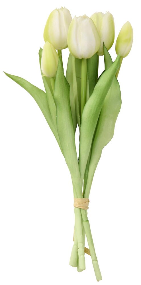 Ein Tulpenstrauß Weiß mit weißen Tulpenblüten und grünen Stielen, zusammengebunden mit einer hellbraunen Schnur.