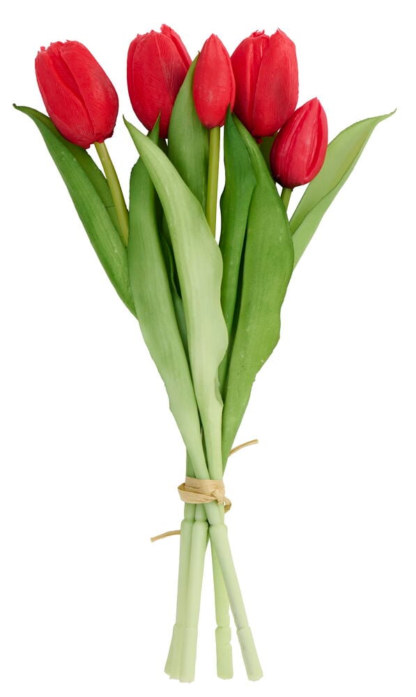 Roter Tulpenstrauß mit fünf roten Blüten und grünen Stielen, mit Naturraffia gebunden.