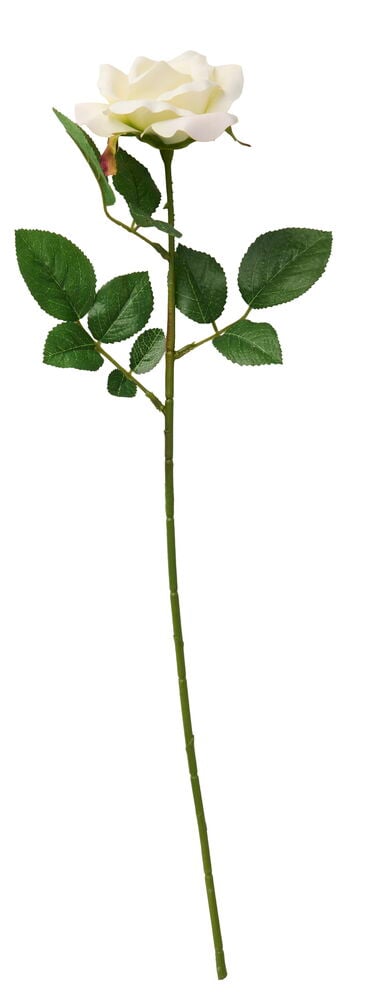 Ros 60 cm Vit: En enkel konstgjord vit ros med grön stjälk och blad, stående upprätt.