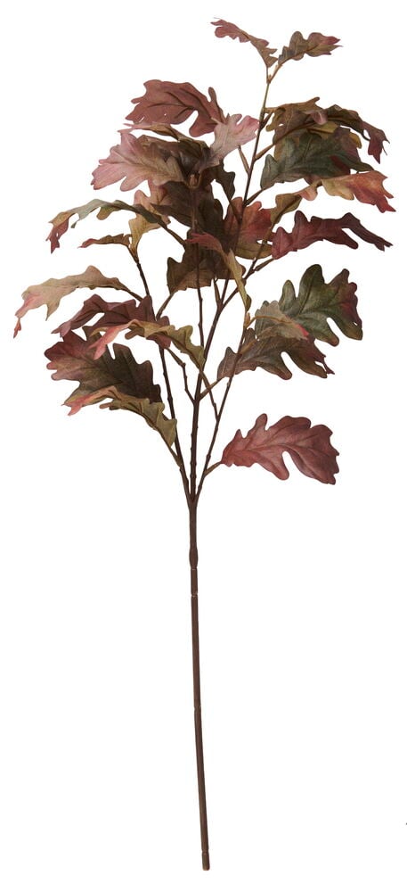 Ein 70 cm Zweig Eichenlaub mit rotbraunen und grünen Herbstblättern an einem braunen, verzweigten Stiel.