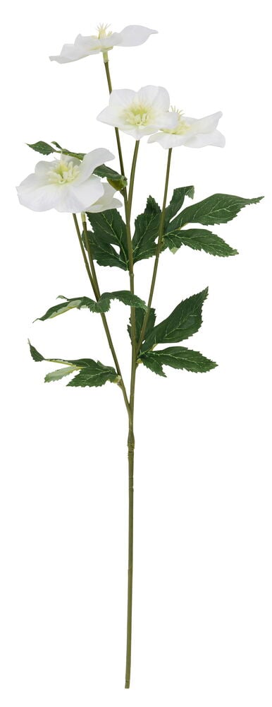 Frontalvisning av en hvit Julerose 60 cm kunstig blomsterstilk med flere hvite blomster og grønne blader.