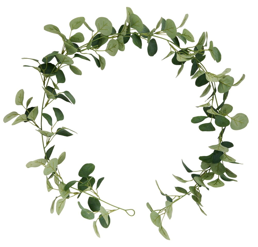 Girlander Eucalyptus 150 cm med grønne blader i sirkulær form på hvit bakgrunn.